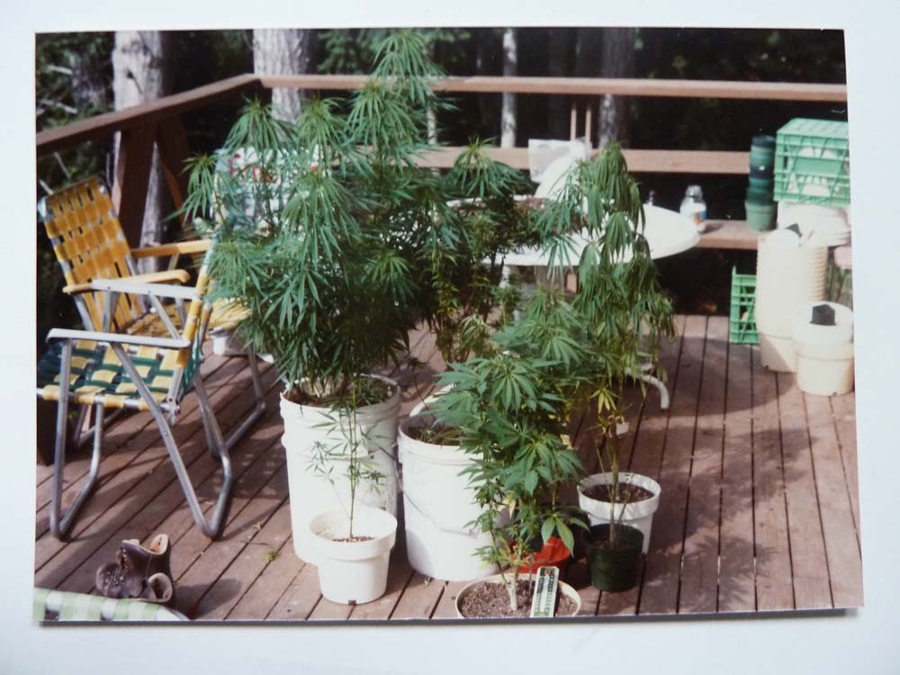 Pot Plants on Deck